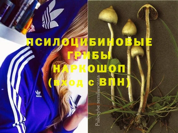 гашик Белоозёрский