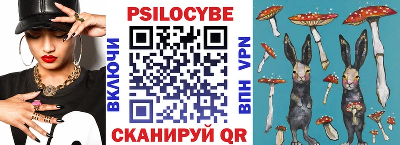 Галлюциногенные грибы Psilocybe  Котовск 